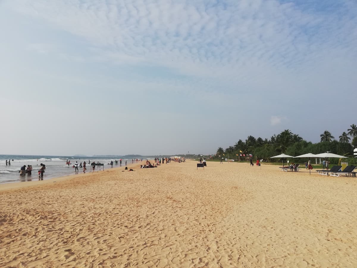 Golden sand, palm trees and people enjoying the shoreline at Bentota Beach