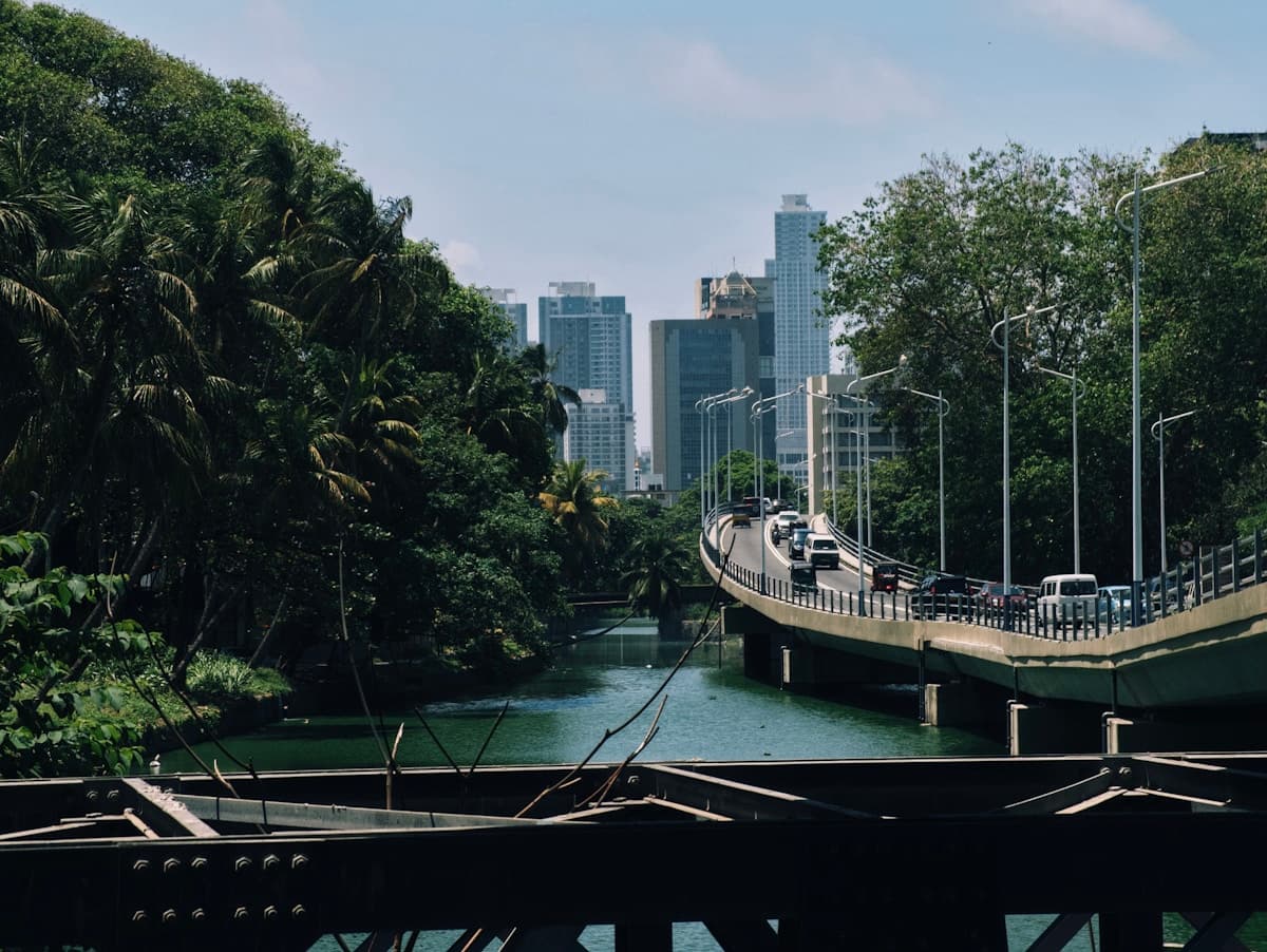 Colombo’s skyline beyond a tree-lined waterway and a curving city road