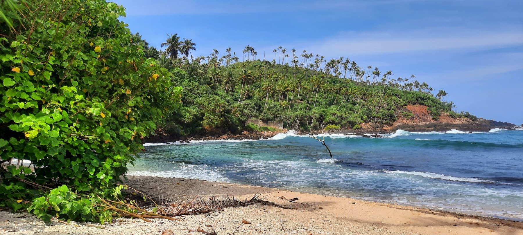 A sheltered sandy cove framed by palms on Sri Lanka’s south coast
