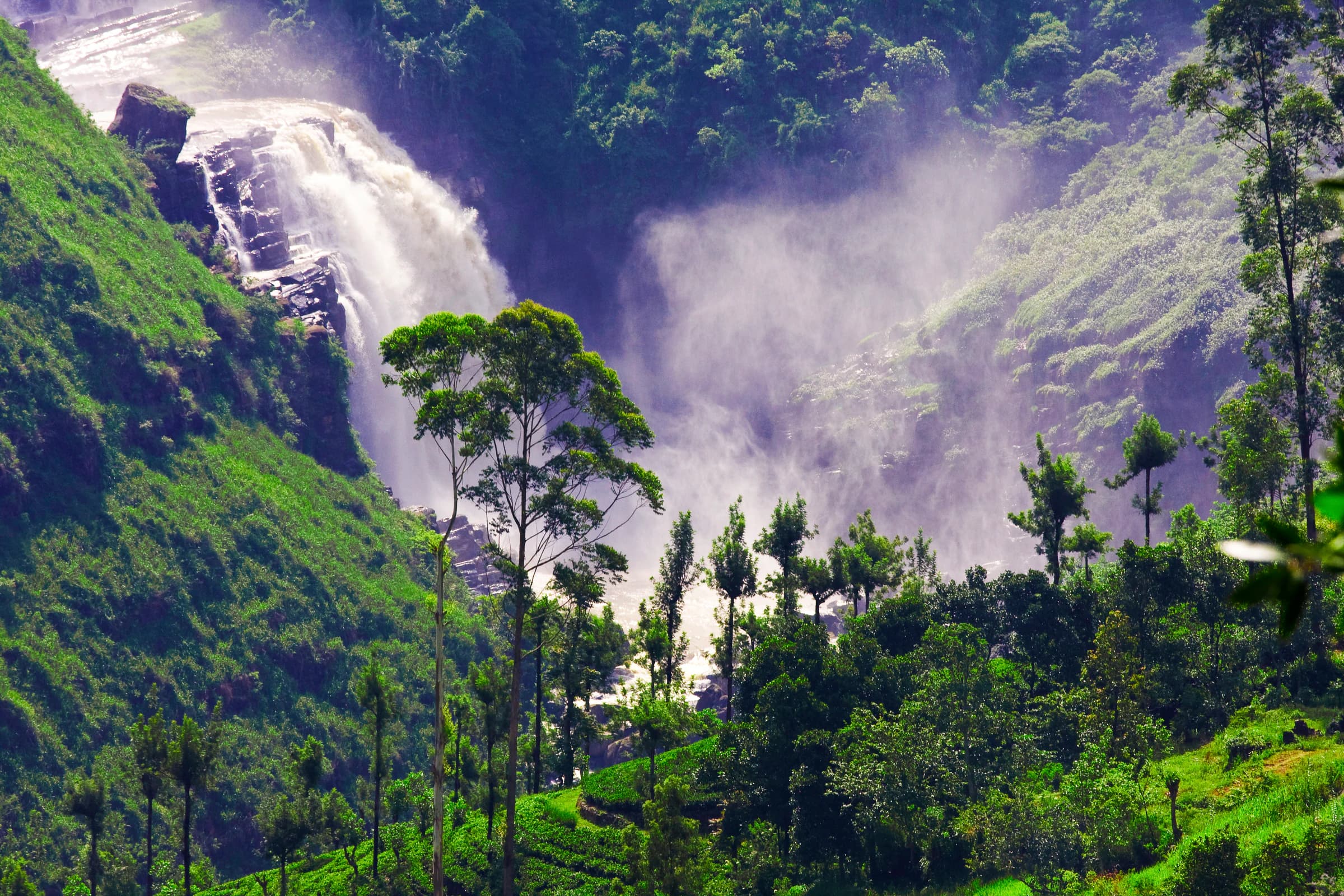 Sri Lanka's green hills meeting the tropical coast