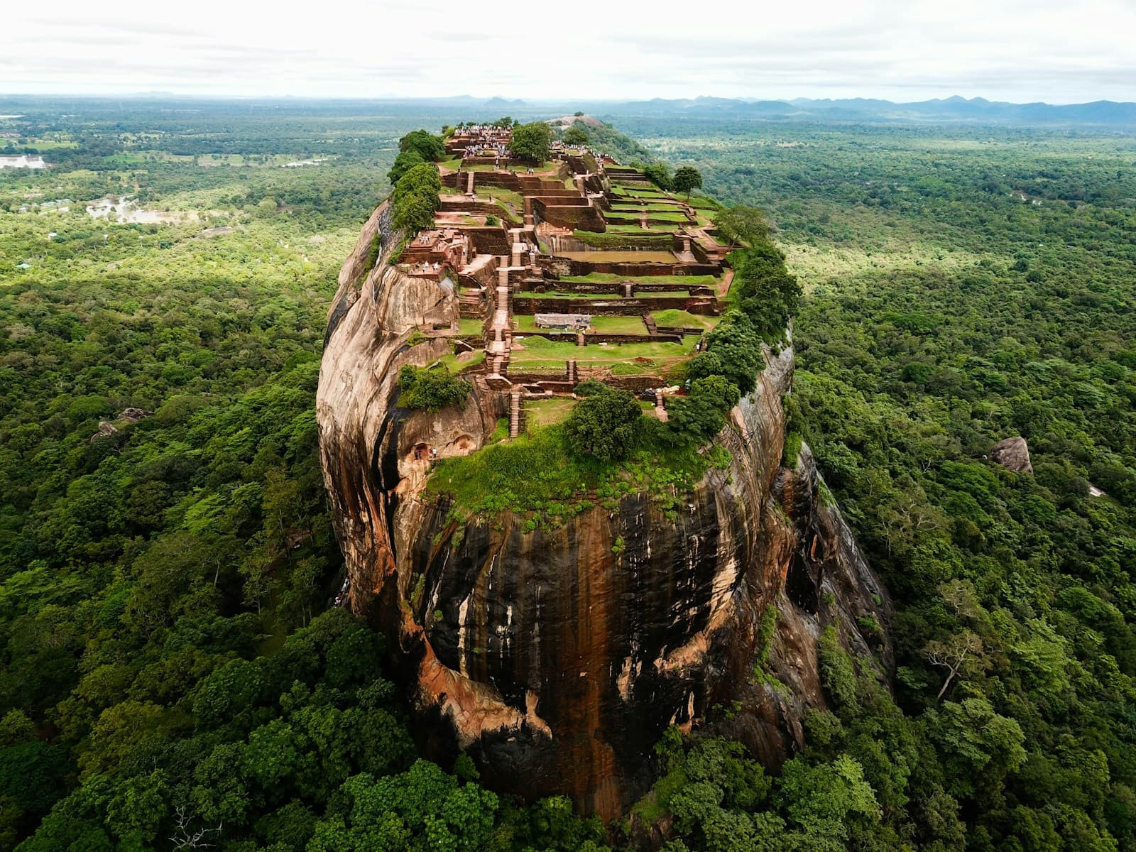 Sigiriya rock fortress rising above the Sri Lankan forest